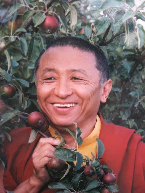 Chokyi Nyima Rinpoche