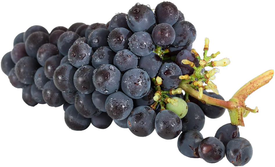 Grapes, Isolated, Fruit, Food, Healthy, Eat