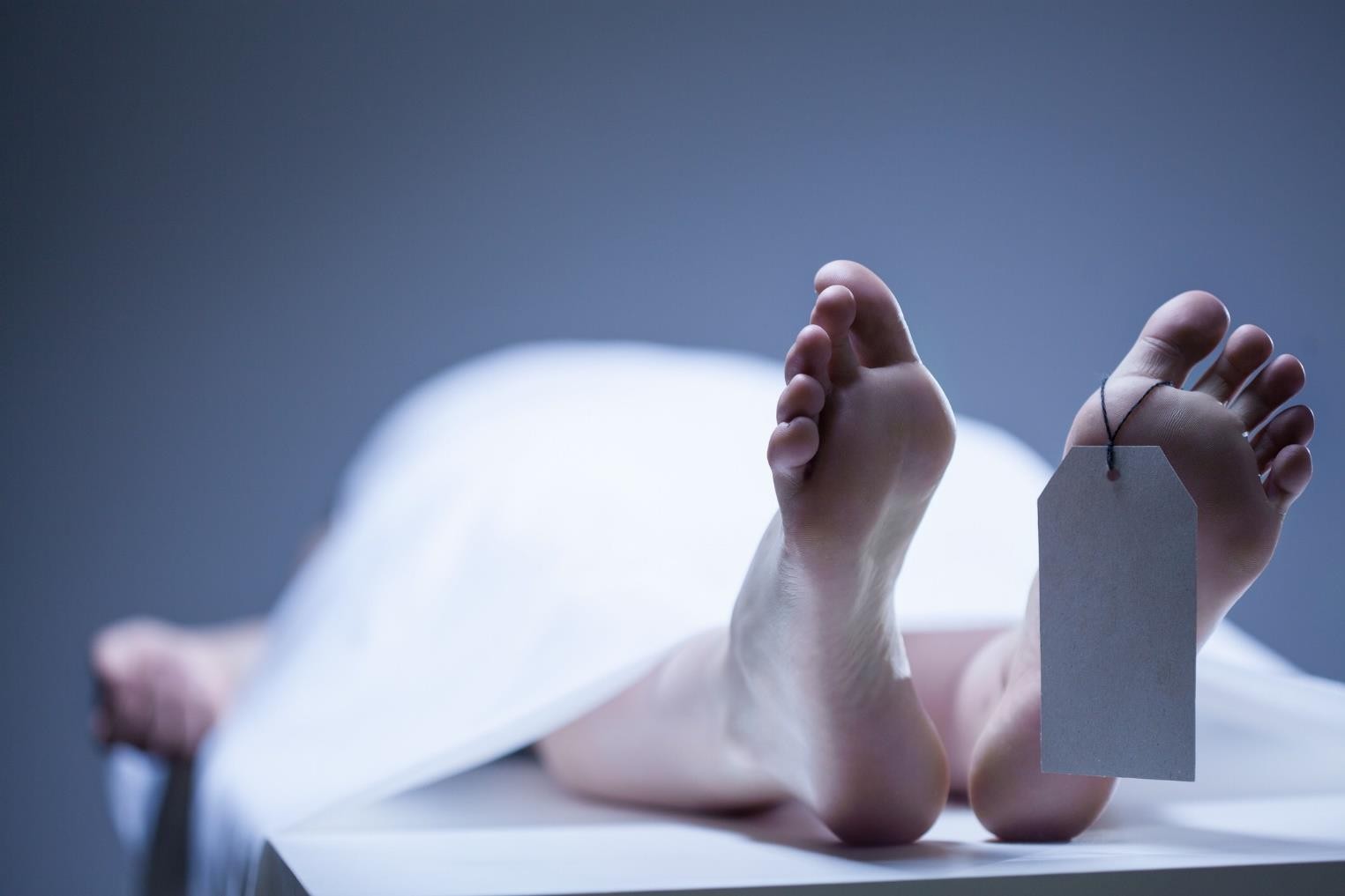 Human Corpses Keep Moving for Over a Year After Death, Scientist Says