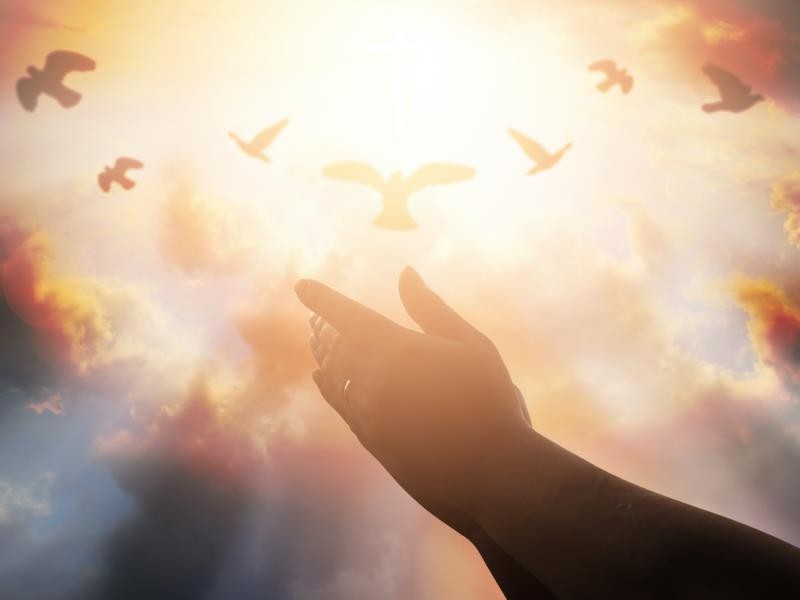 Image result for blessing