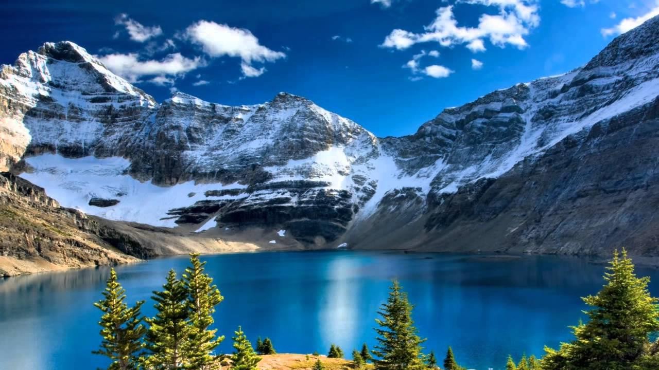 Image result for natural harmony