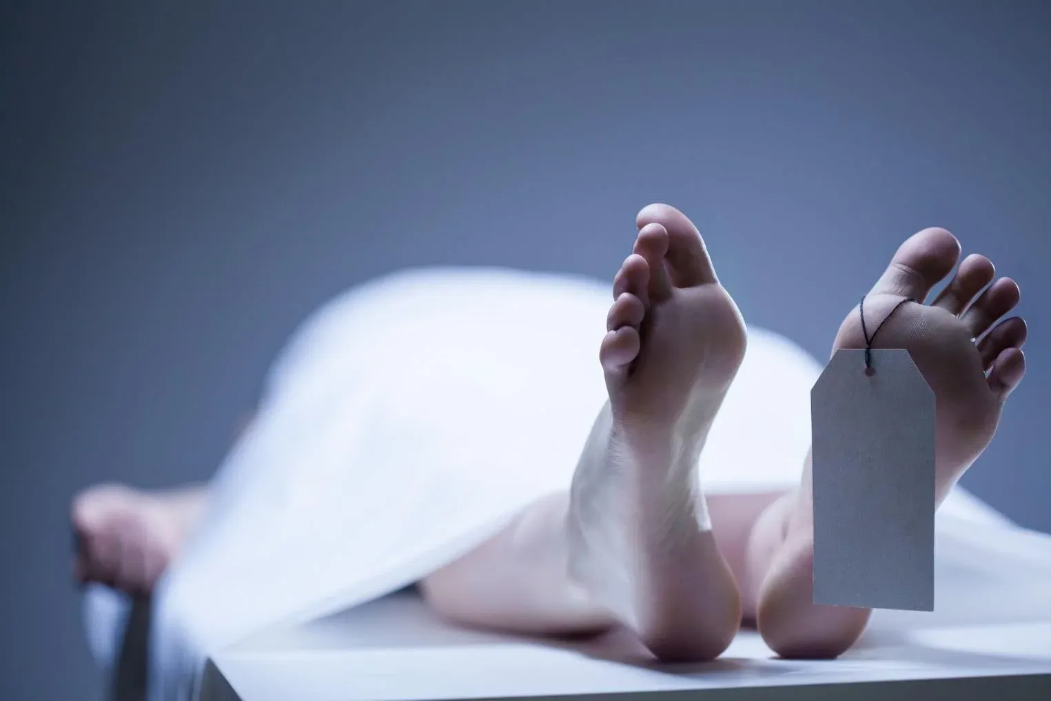 Human Corpses Keep Moving for Over a Year After Death, Scientist Says
