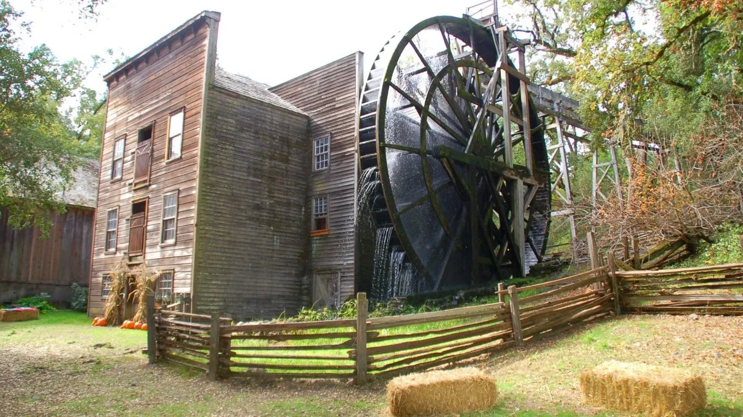 Image result for grist for the mill